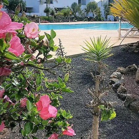 Apartment Infinity Casilla *
